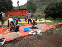 Load image into Gallery viewer, Uganda Zombo - Ndhew microstation - ESPRESSO