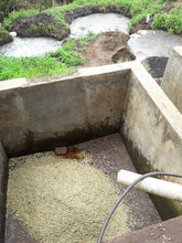 Load image into Gallery viewer, Uganda Zombo - Ndhew microstation - ESPRESSO