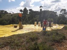 Load image into Gallery viewer, Uganda Zombo - Ndhew microstation - ESPRESSO