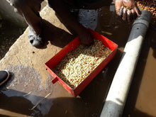 Load image into Gallery viewer, Uganda Zombo - Ndhew microstation - ESPRESSO