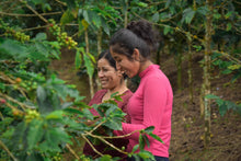 Load image into Gallery viewer, Peru La Estrella ESPRESSO