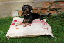 Load image into Gallery viewer, Dog's lair jute bag
