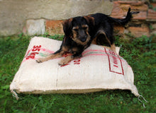 Load image into Gallery viewer, Dog's lair jute bag