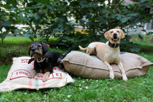 Load image into Gallery viewer, Dog's lair jute bag