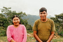 Load image into Gallery viewer, Bolivia Aljiri - washed ESPRESSO
