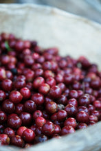 Load image into Gallery viewer, Costa Rica Vida washed - ESPRESSO
