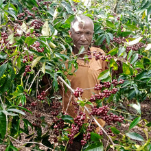 Load image into Gallery viewer, Ethiopia Mr. Mengeche Derso natural - FILTER
