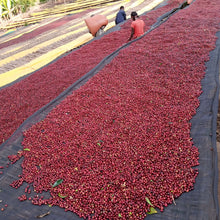 Load image into Gallery viewer, Ethiopia Mr. Mengeche Derso natural - FILTER
