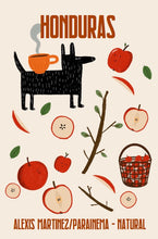 Load image into Gallery viewer, Honduras Alexis Martinez - Parainema - anaerobic washed ESPRESSO
