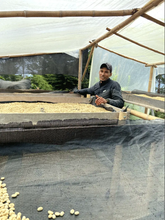Load image into Gallery viewer, Colombia Henry Munoz - washed pink bourbon FILTER
