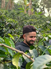 Load image into Gallery viewer, Colombia Henry Munoz - washed pink bourbon FILTER
