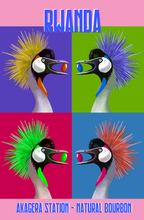 Load image into Gallery viewer, Rwanda Akagera - natural red bouron FILTER
