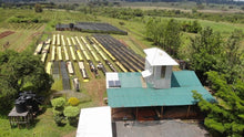 Load image into Gallery viewer, Kenya Sakami - Rosabella - single farmer lot natural ESPRESSO
