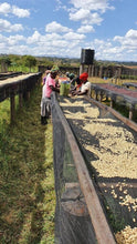 Load image into Gallery viewer, Kenya Sakami - Rosabella - single farmer lot natural FILTER
