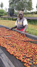 Load image into Gallery viewer, Kenya Sakami - Rosabella - single farmer lot natural FILTER
