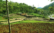 Load image into Gallery viewer, Rwanda Akagera - natural red bouron FILTER
