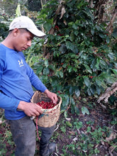 Load image into Gallery viewer, Nicaragua Ibis experimental lot FILTER
