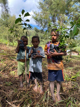 Load image into Gallery viewer, West Papua - Abmisibil - washed FILTER
