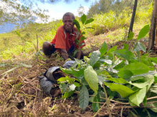 Load image into Gallery viewer, West Papua - Abmisibil - washed FILTER
