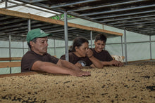 Load image into Gallery viewer, Peru La Estrella ESPRESSO
