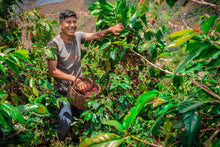 Load image into Gallery viewer, Peru La Estrella ESPRESSO
