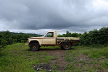 Load image into Gallery viewer, Papua New Guinea Baroida FILTER (honey)
