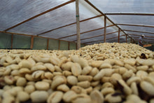 Load image into Gallery viewer, Colombia Tumbaga DECAF
